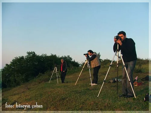 Fotoroman Amasra
