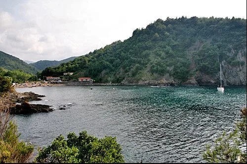 Koy Koy Karadeniz