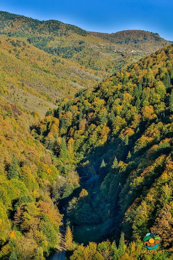 Uluyayla